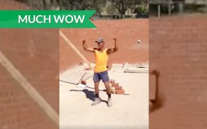 Much Wow Talented Tradie Dances to Beyonce